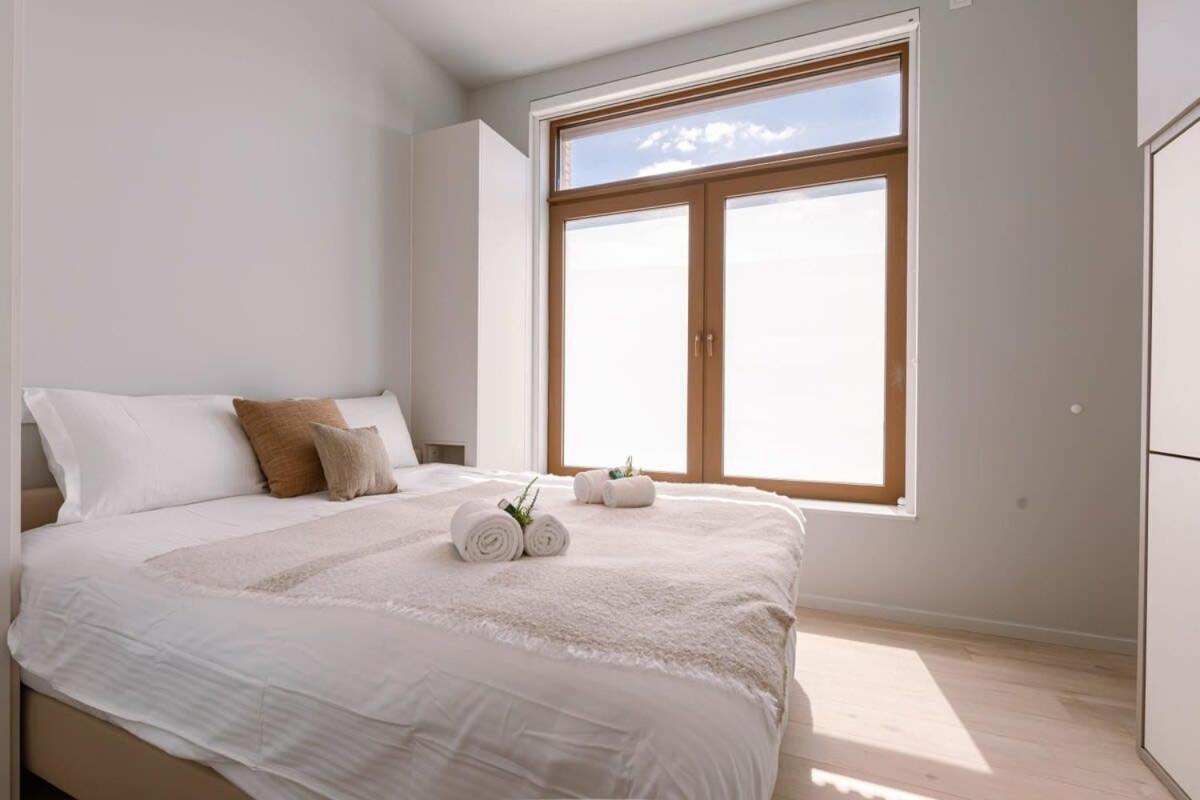 Luxurious Flat 